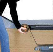 bowling0003_7000.gif